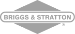 Briggs & Stratton